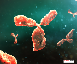 myelin oligodendrocyte glycoprotein