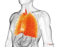 Racura Oncology cleared to escalate RC220 to 100 mg/m2 in phase 1 trial in EGFR-mutant non-small cell lung cancer