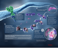 Eli Lilly’s Jaypirca (pirtobrutinib) receives expanded indication from US FDA for certain patients with previously untreated CLL/SLL